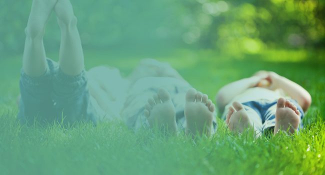 grass-family
